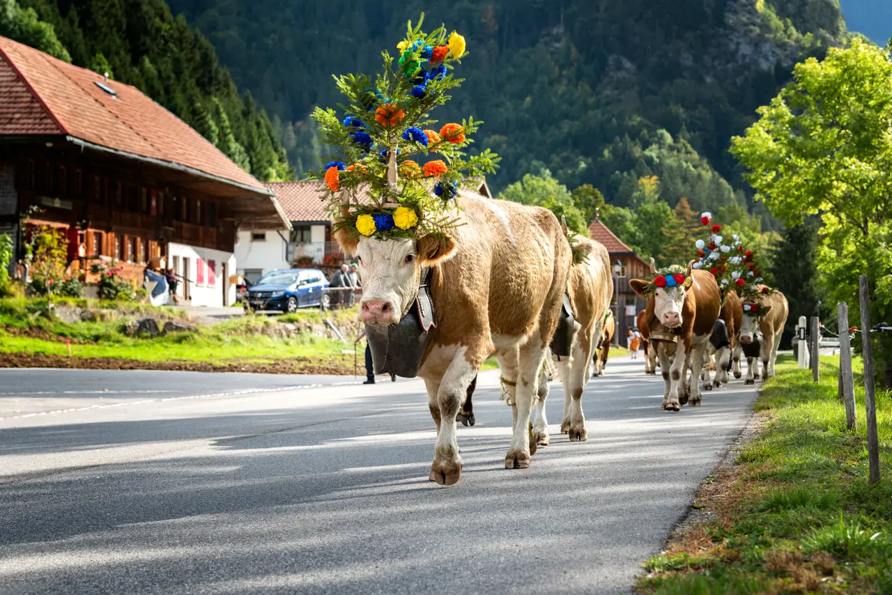 Zürich nach Heidiland & Liechtenstein